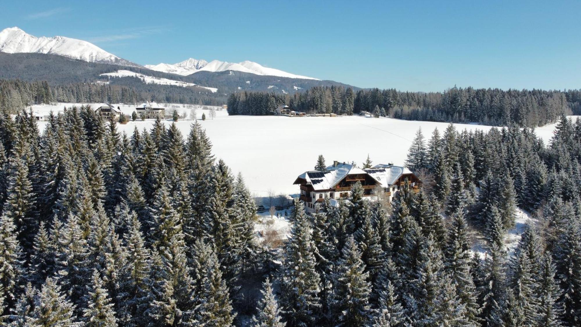 Hotel Haeuserl Im Wald Mariapfarr Luaran gambar